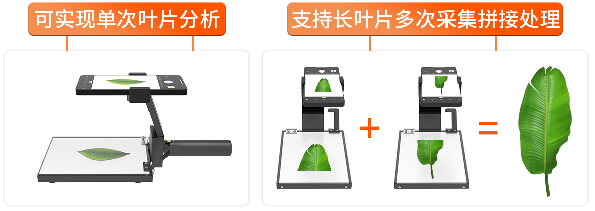 05f2623431a81876e542df454991f324.png image.png