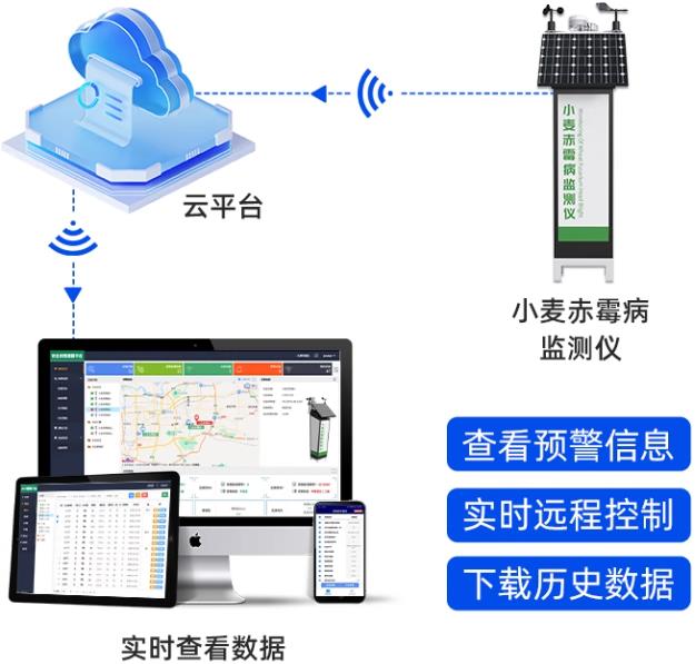小麦赤霉病监测仪系统框架图